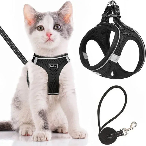 Cat Harness and Leash Set