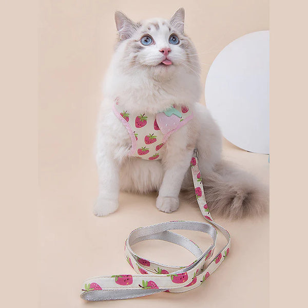 Fruit Series Cat Leashes and Harnesses