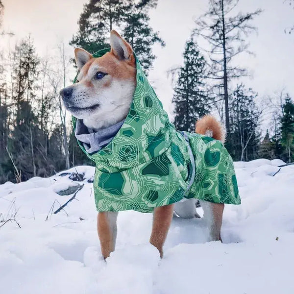 Vibrant All-Season Dog Apparel