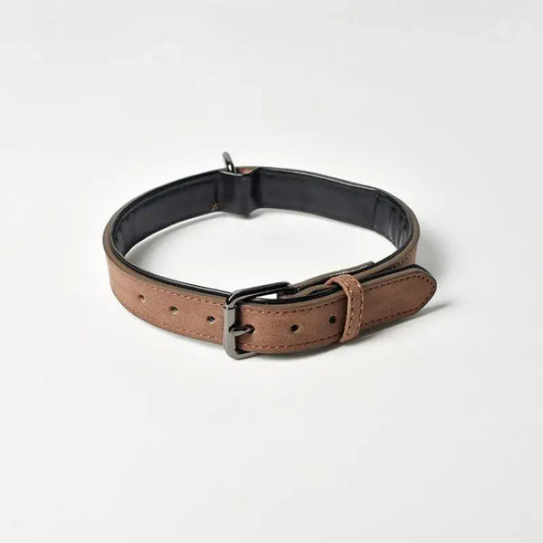 Premium leather pet dog collar