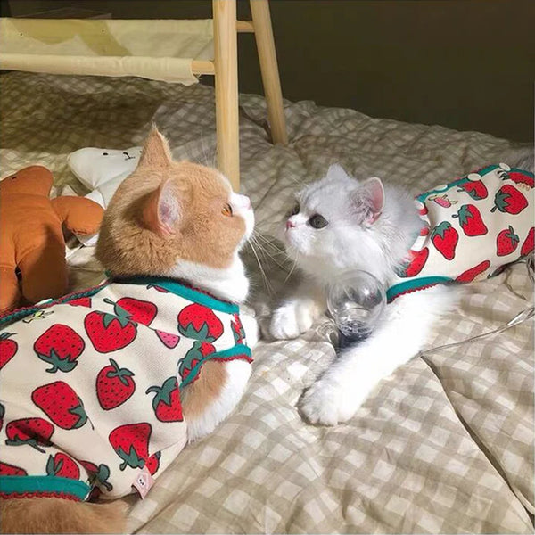 Strawberry Warm Cat Vest