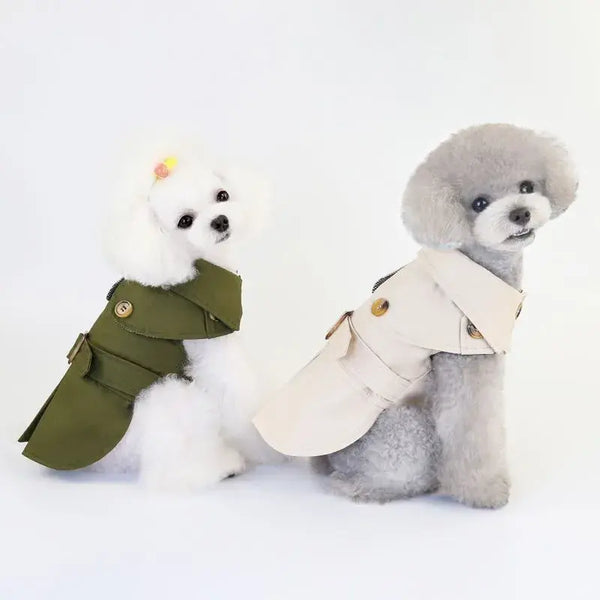 Fashion dog jacket