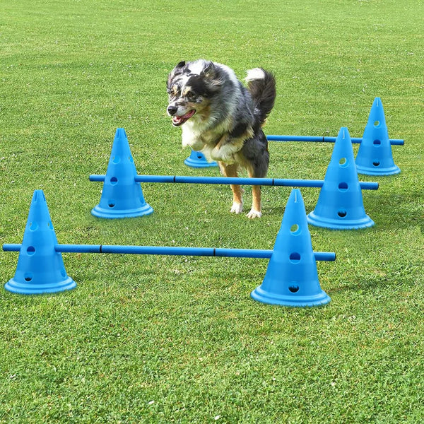 Training Jumping Obstacles